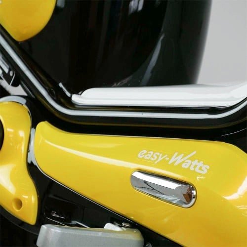Easy-Watts e-bonsaï coco